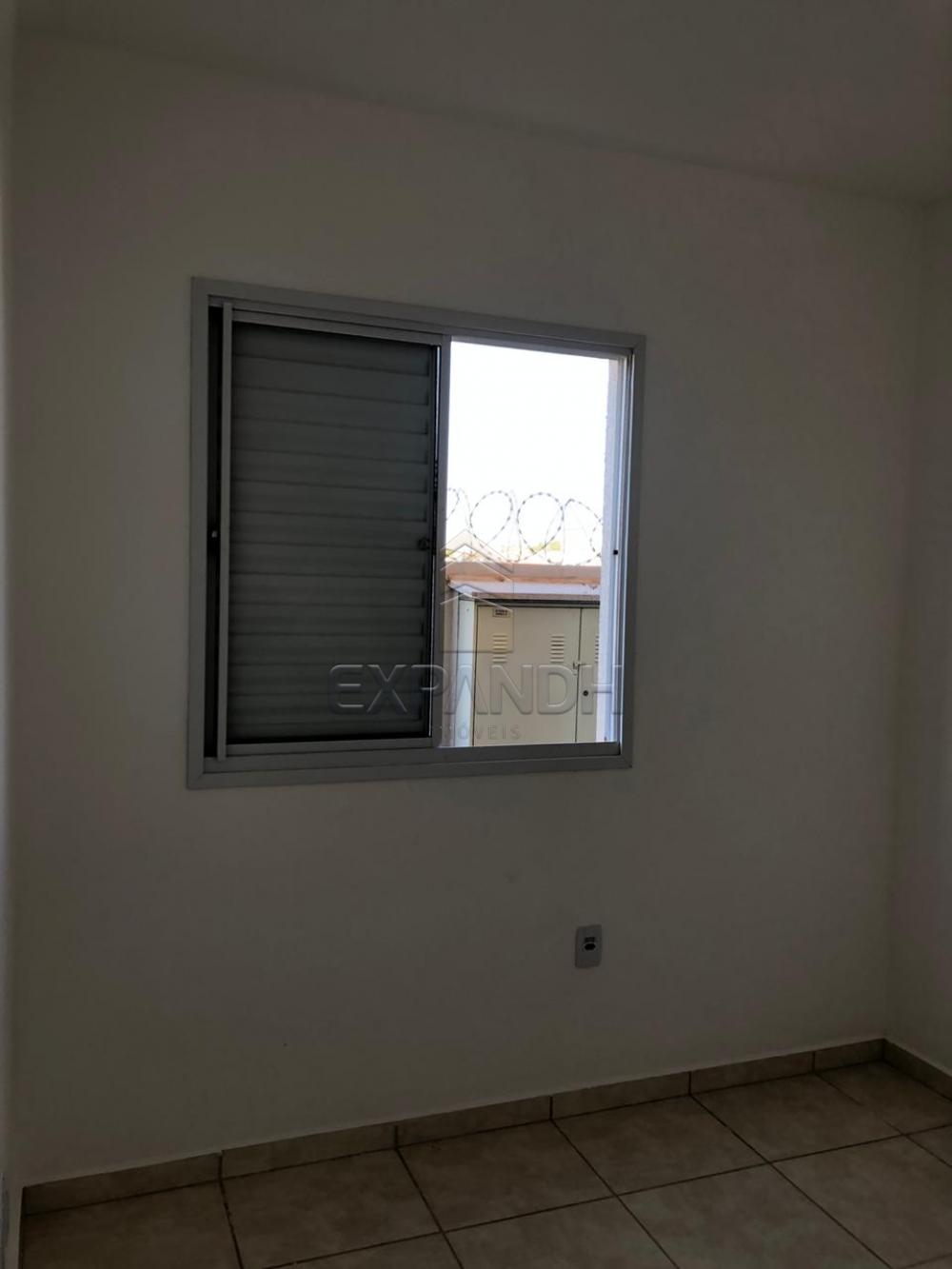 Alugar Apartamentos / Padrão em Sertãozinho apenas R$ 600,00 - Foto 46 Alugar Apartamentos / Padrão em Sertãozinho apenas R$ 600,00 - Foto 46