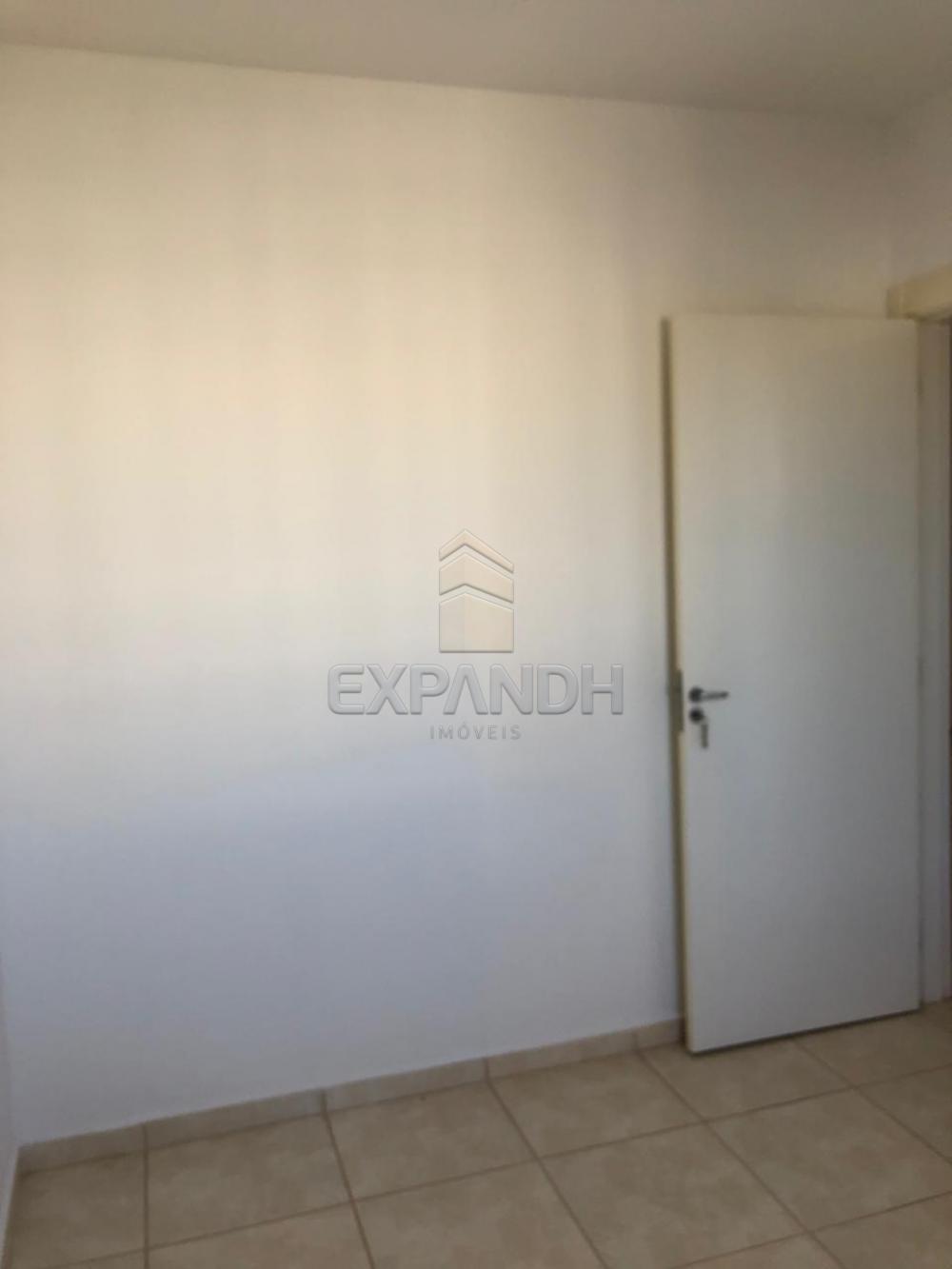 Alugar Apartamentos / Padrão em Sertãozinho apenas R$ 600,00 - Foto 47 Alugar Apartamentos / Padrão em Sertãozinho apenas R$ 600,00 - Foto 47