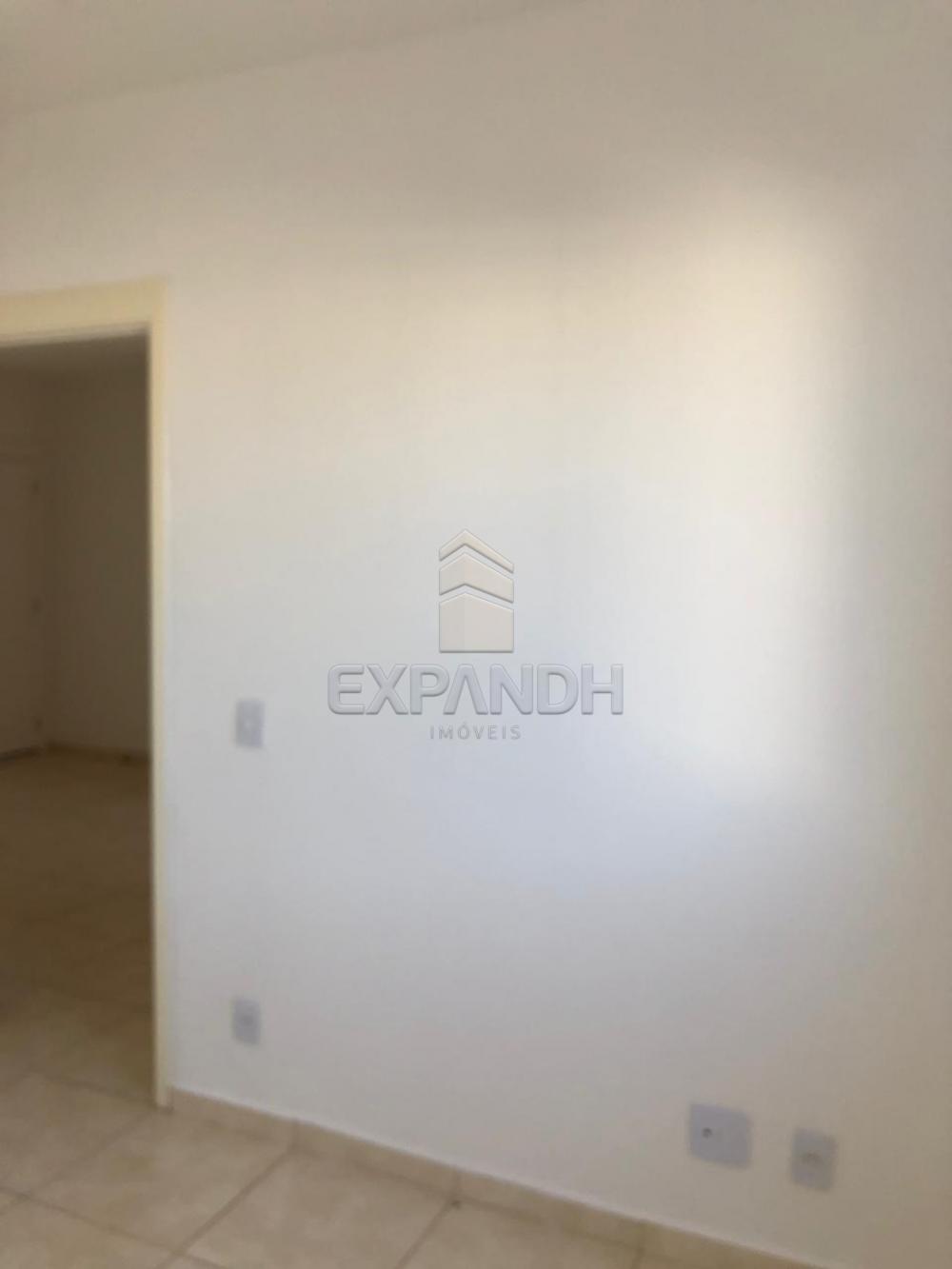 Alugar Apartamentos / Padrão em Sertãozinho apenas R$ 600,00 - Foto 48 Alugar Apartamentos / Padrão em Sertãozinho apenas R$ 600,00 - Foto 48