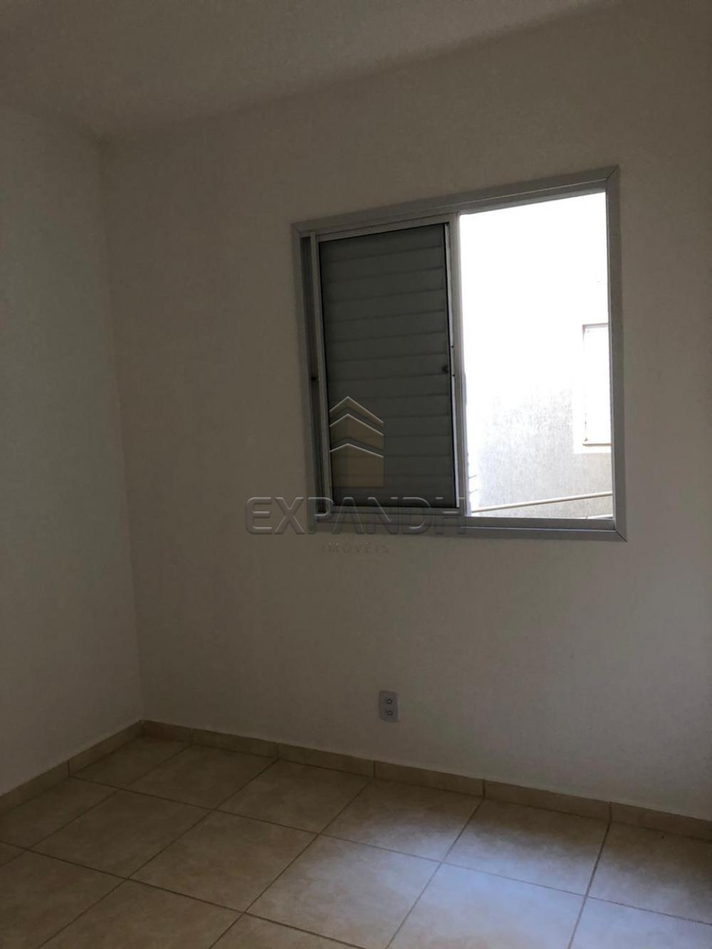 Alugar Apartamentos / Padrão em Sertãozinho apenas R$ 600,00 - Foto 49 Alugar Apartamentos / Padrão em Sertãozinho apenas R$ 600,00 - Foto 49