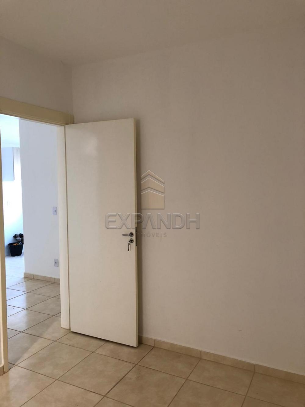 Alugar Apartamentos / Padrão em Sertãozinho apenas R$ 600,00 - Foto 51 Alugar Apartamentos / Padrão em Sertãozinho apenas R$ 600,00 - Foto 51