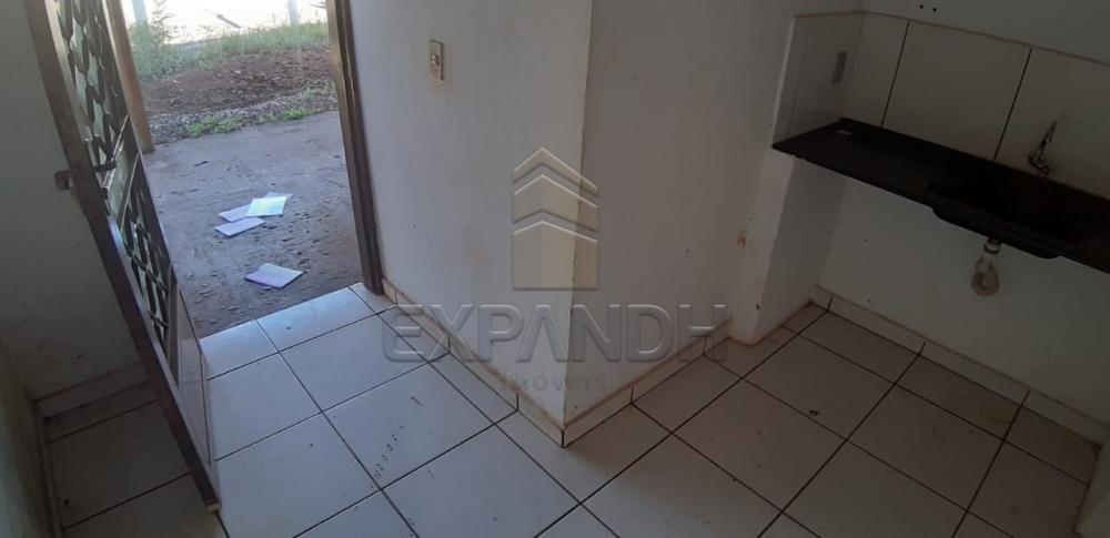 Alugar Comerciais / Ponto Comercial em Sertãozinho apenas R$ 1.200,00 - Foto 17 Alugar Comerciais / Ponto Comercial em Sertãozinho apenas R$ 1.200,00 - Foto 17