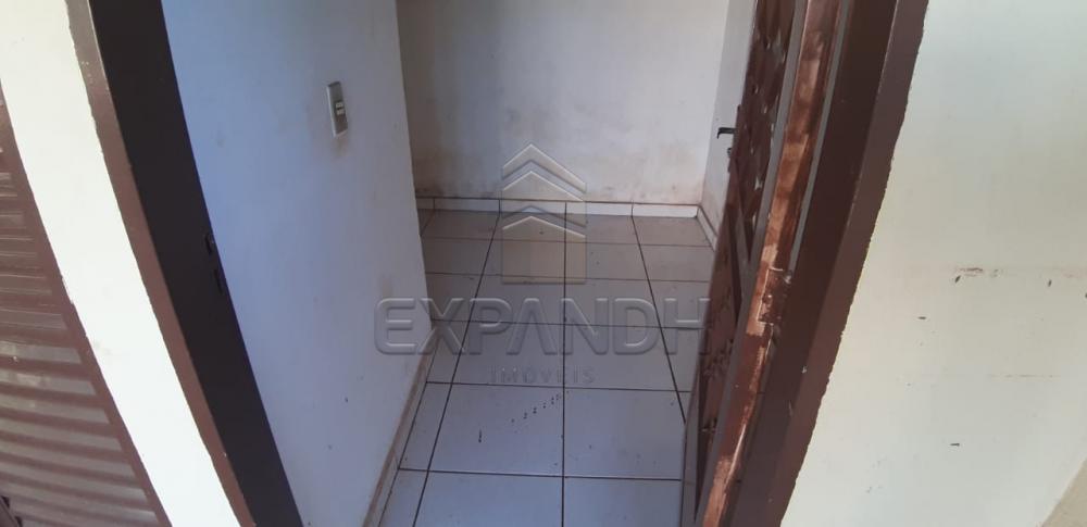 Alugar Comerciais / Ponto Comercial em Sertãozinho apenas R$ 1.200,00 - Foto 16 Alugar Comerciais / Ponto Comercial em Sertãozinho apenas R$ 1.200,00 - Foto 16