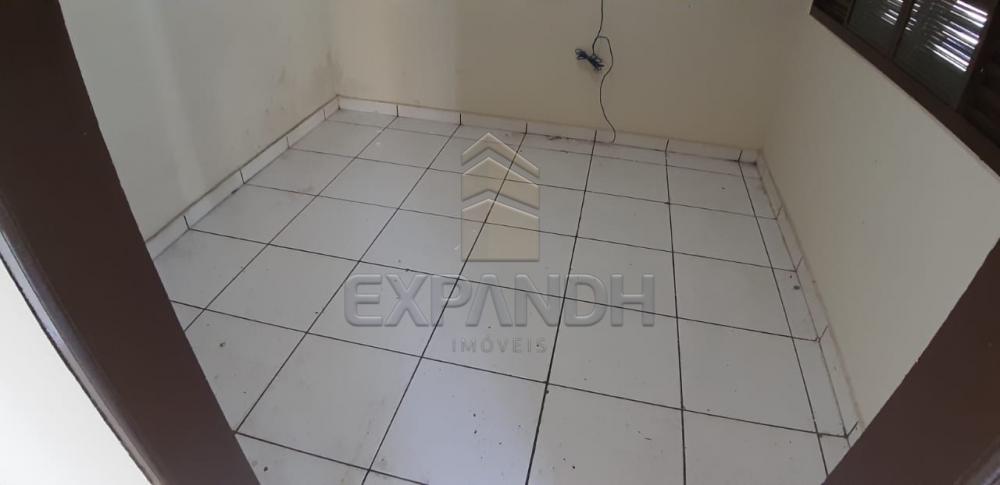Alugar Comerciais / Ponto Comercial em Sertãozinho apenas R$ 1.200,00 - Foto 12 Alugar Comerciais / Ponto Comercial em Sertãozinho apenas R$ 1.200,00 - Foto 12