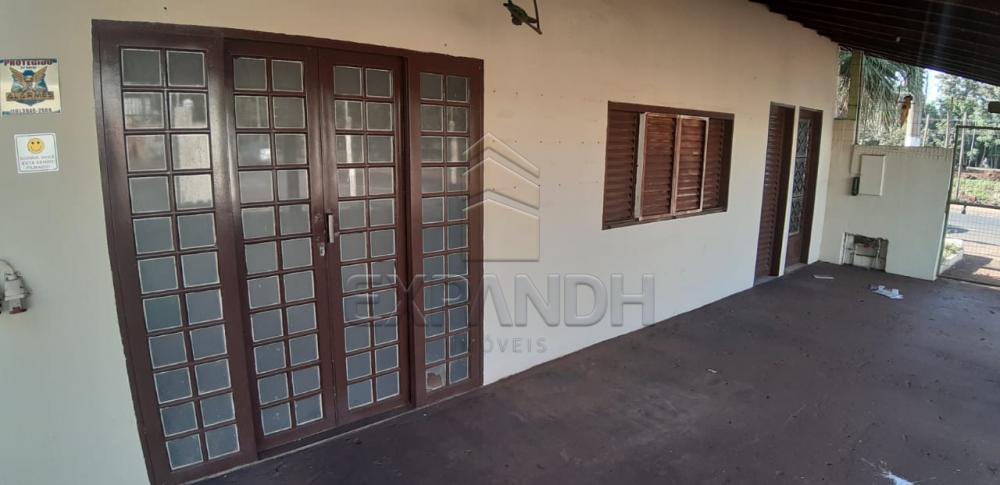 Alugar Comerciais / Ponto Comercial em Sertãozinho apenas R$ 1.200,00 - Foto 9 Alugar Comerciais / Ponto Comercial em Sertãozinho apenas R$ 1.200,00 - Foto 9