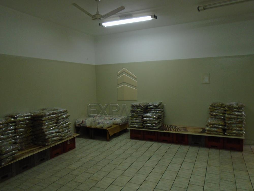 Comprar Comerciais / Salão em Sertãozinho R$ 500.000,00 - Foto 8 Comprar Comerciais / Salão em Sertãozinho R$ 500.000,00 - Foto 8