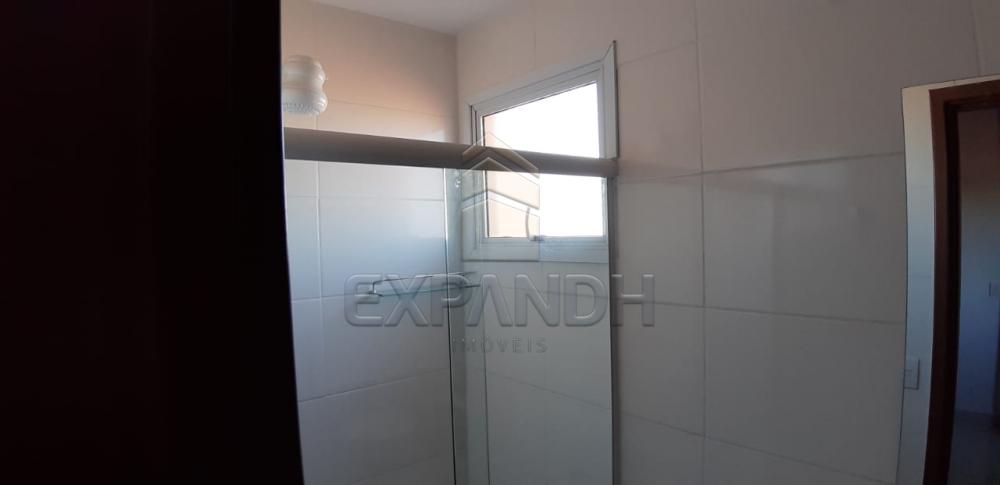Alugar Apartamentos / Padrão em Sertãozinho apenas R$ 1.200,00 - Foto 14 Alugar Apartamentos / Padrão em Sertãozinho apenas R$ 1.200,00 - Foto 14