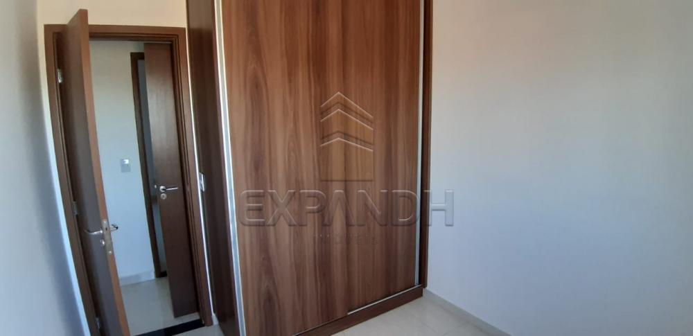 Alugar Apartamentos / Padrão em Sertãozinho apenas R$ 1.200,00 - Foto 17 Alugar Apartamentos / Padrão em Sertãozinho apenas R$ 1.200,00 - Foto 17