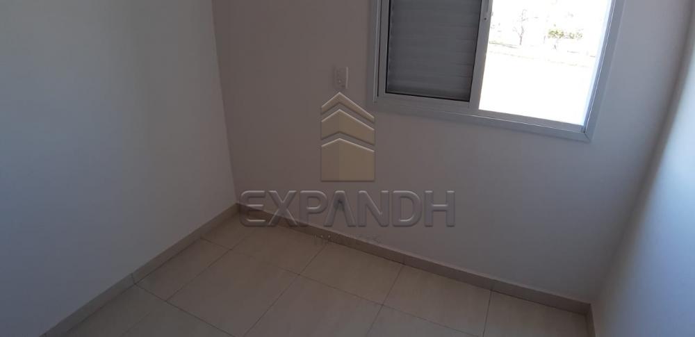 Alugar Apartamentos / Padrão em Sertãozinho apenas R$ 1.200,00 - Foto 18 Alugar Apartamentos / Padrão em Sertãozinho apenas R$ 1.200,00 - Foto 18