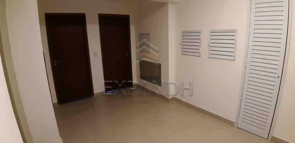 Alugar Apartamentos / Padrão em Sertãozinho apenas R$ 1.200,00 - Foto 35 Alugar Apartamentos / Padrão em Sertãozinho apenas R$ 1.200,00 - Foto 35