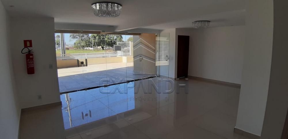 Alugar Apartamentos / Padrão em Sertãozinho apenas R$ 1.200,00 - Foto 38 Alugar Apartamentos / Padrão em Sertãozinho apenas R$ 1.200,00 - Foto 38