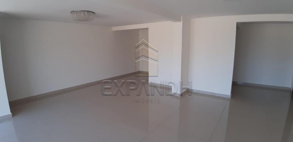 Alugar Apartamentos / Padrão em Sertãozinho apenas R$ 1.200,00 - Foto 39 Alugar Apartamentos / Padrão em Sertãozinho apenas R$ 1.200,00 - Foto 39