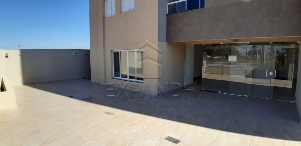 Alugar Apartamentos / Padrão em Sertãozinho apenas R$ 1.200,00 - Foto 40 Alugar Apartamentos / Padrão em Sertãozinho apenas R$ 1.200,00 - Foto 40