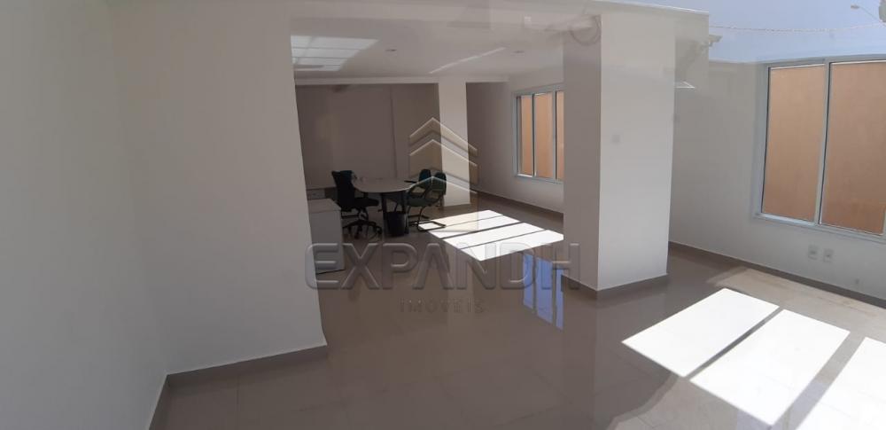 Alugar Apartamentos / Padrão em Sertãozinho apenas R$ 1.200,00 - Foto 41 Alugar Apartamentos / Padrão em Sertãozinho apenas R$ 1.200,00 - Foto 41