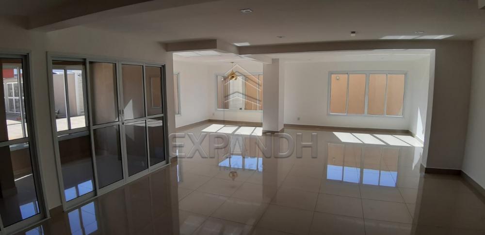 Alugar Apartamentos / Padrão em Sertãozinho apenas R$ 1.200,00 - Foto 42 Alugar Apartamentos / Padrão em Sertãozinho apenas R$ 1.200,00 - Foto 42