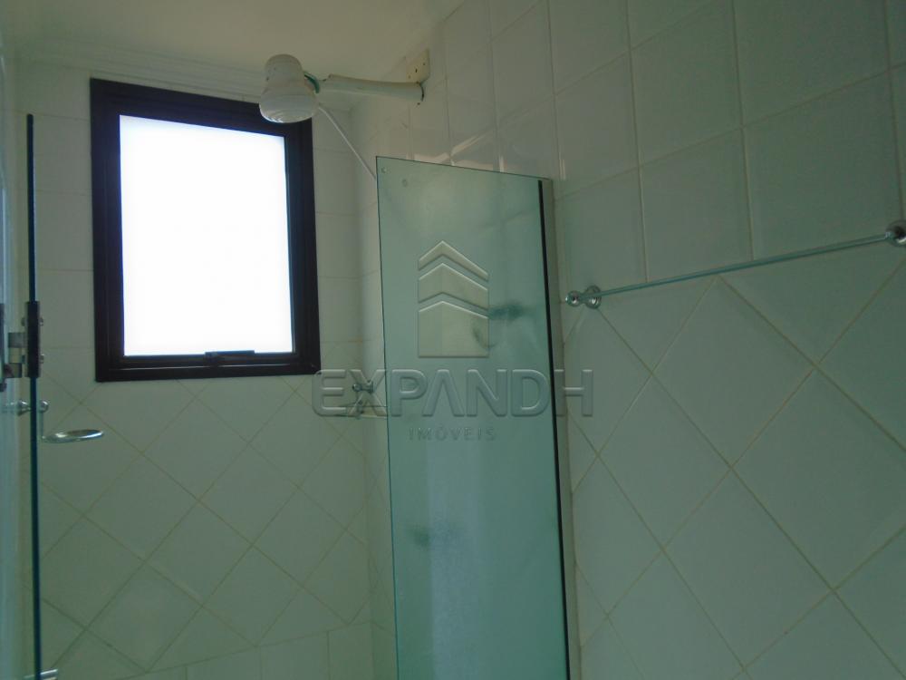 Alugar Apartamentos / Padrão em Sertãozinho R$ 1.000,00 - Foto 15 Alugar Apartamentos / Padrão em Sertãozinho R$ 1.000,00 - Foto 15
