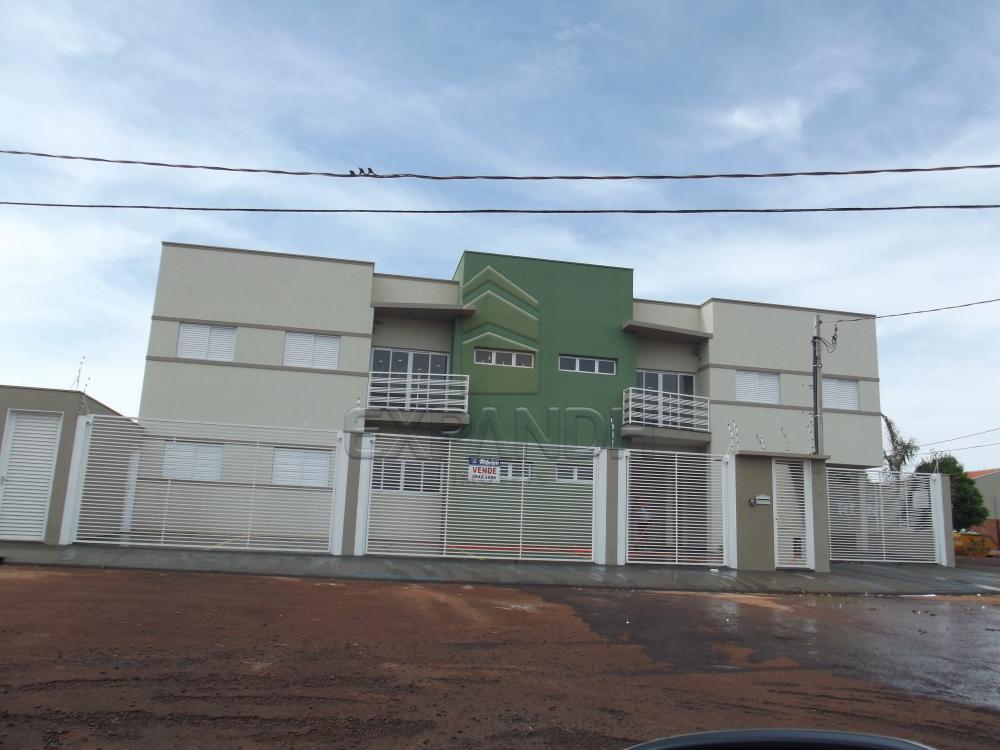 Alugar Apartamentos / Padrão em Sertãozinho apenas R$ 990,00 - Foto 1 Alugar Apartamentos / Padrão em Sertãozinho apenas R$ 990,00 - Foto 1