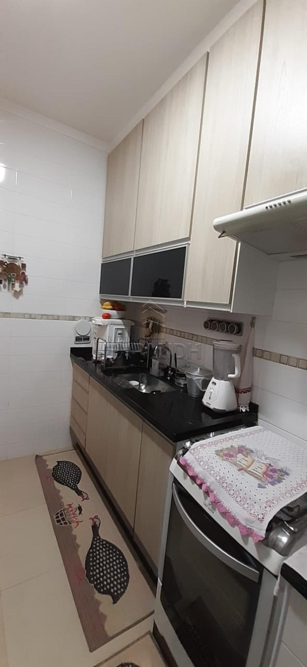 Alugar Apartamentos / Padrão em Sertãozinho apenas R$ 990,00 - Foto 5 Alugar Apartamentos / Padrão em Sertãozinho apenas R$ 990,00 - Foto 5