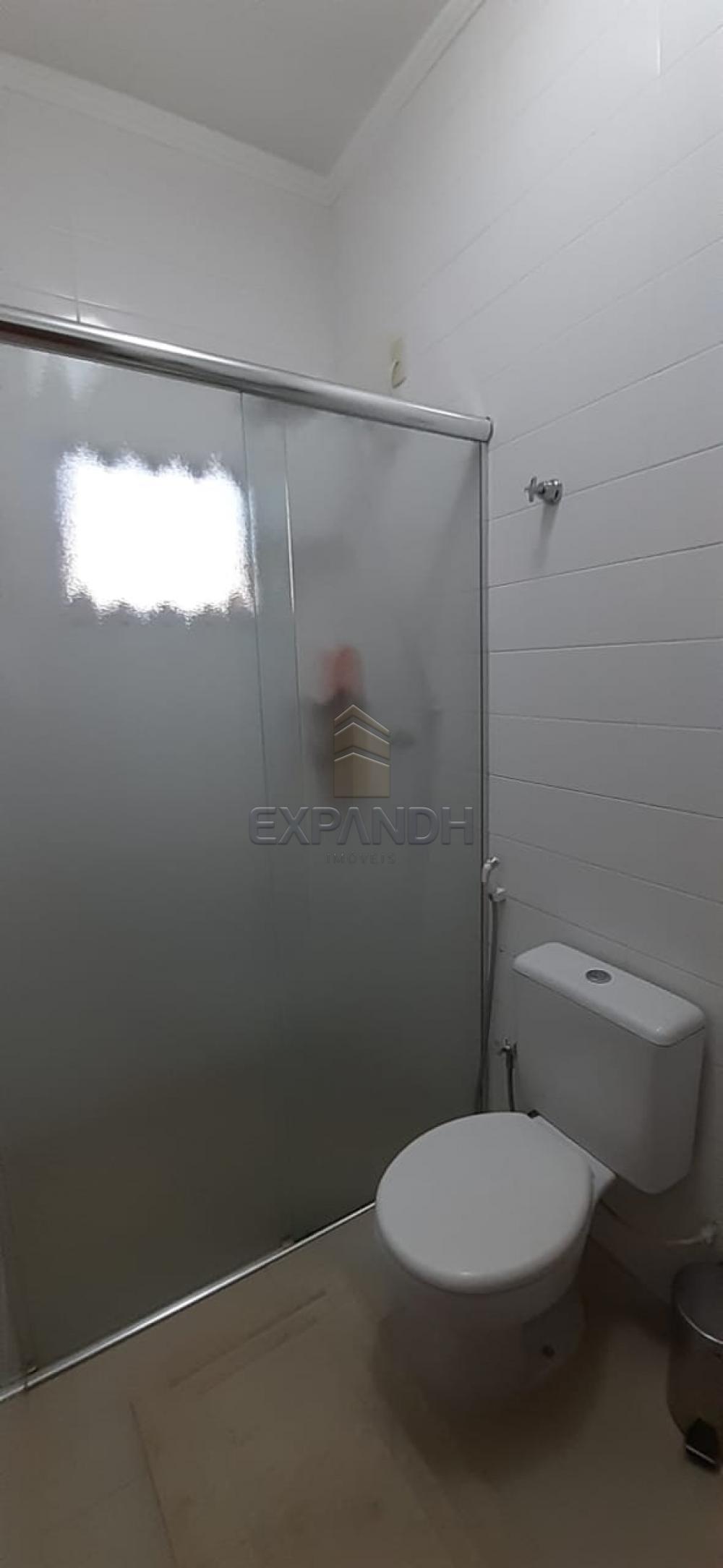 Alugar Apartamentos / Padrão em Sertãozinho apenas R$ 990,00 - Foto 11 Alugar Apartamentos / Padrão em Sertãozinho apenas R$ 990,00 - Foto 11