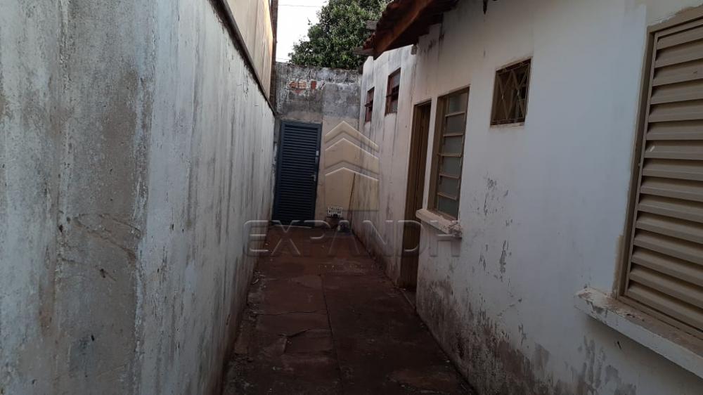 Comprar Casas / Padrão em Sertãozinho apenas R$ 140.000,00 - Foto 14 Comprar Casas / Padrão em Sertãozinho apenas R$ 140.000,00 - Foto 14