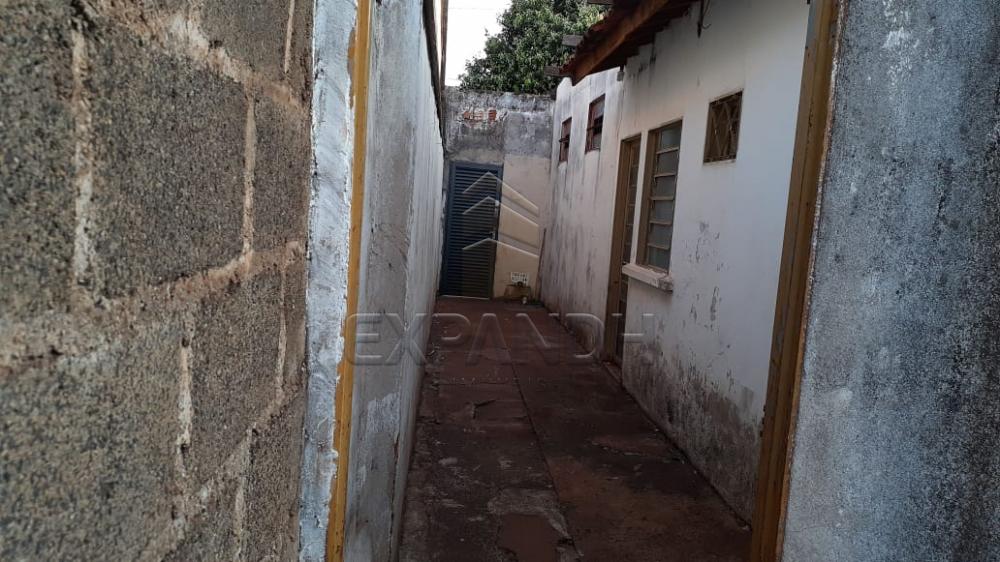 Comprar Casas / Padrão em Sertãozinho apenas R$ 140.000,00 - Foto 21 Comprar Casas / Padrão em Sertãozinho apenas R$ 140.000,00 - Foto 21