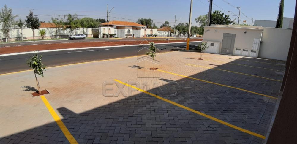 Alugar Comerciais / Sala em Sertãozinho apenas R$ 2.500,00 - Foto 4 Alugar Comerciais / Sala em Sertãozinho apenas R$ 2.500,00 - Foto 4