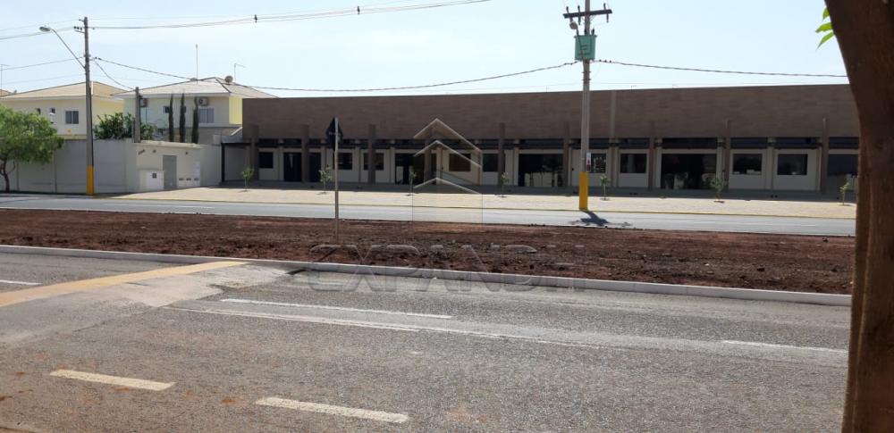 Alugar Comerciais / Sala em Sertãozinho apenas R$ 2.500,00 - Foto 6 Alugar Comerciais / Sala em Sertãozinho apenas R$ 2.500,00 - Foto 6