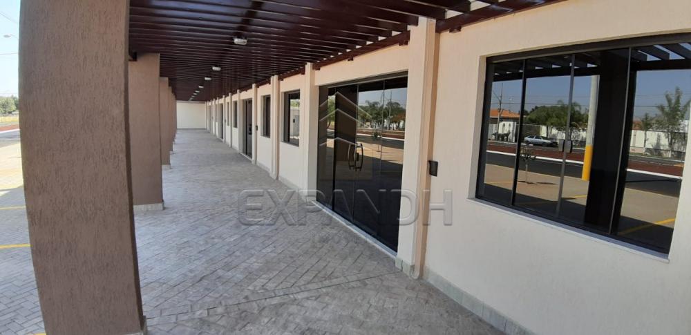 Alugar Comerciais / Sala em Sertãozinho apenas R$ 2.500,00 - Foto 8 Alugar Comerciais / Sala em Sertãozinho apenas R$ 2.500,00 - Foto 8