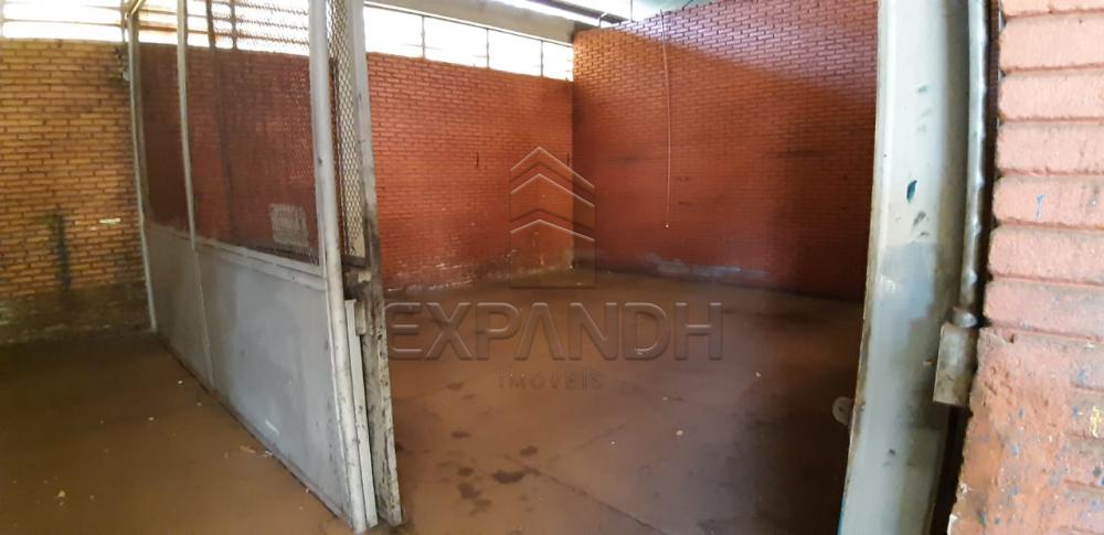 Alugar Comerciais / Barracão em Sertãozinho apenas R$ 31.216,08 - Foto 4 Alugar Comerciais / Barracão em Sertãozinho apenas R$ 31.216,08 - Foto 4