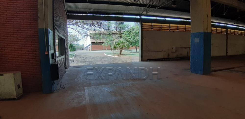 Alugar Comerciais / Barracão em Sertãozinho apenas R$ 31.216,08 - Foto 7 Alugar Comerciais / Barracão em Sertãozinho apenas R$ 31.216,08 - Foto 7