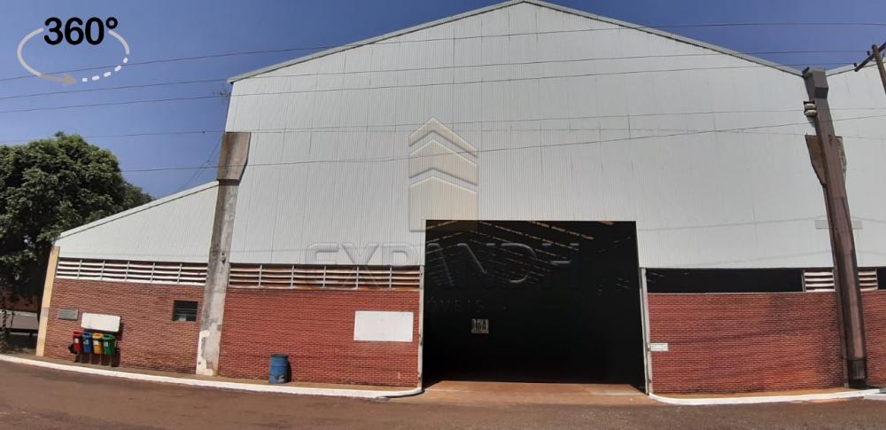 Alugar Comerciais / Barracão em Sertãozinho apenas R$ 31.216,08 - Foto 1 Alugar Comerciais / Barracão em Sertãozinho apenas R$ 31.216,08 - Foto 1
