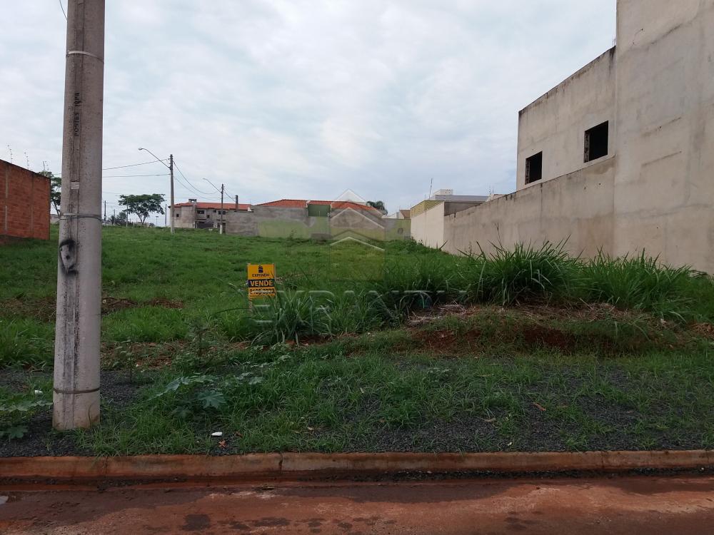 Comprar Terrenos / Padrão em Sertãozinho R$ 125.000,00 - Foto 2 Comprar Terrenos / Padrão em Sertãozinho R$ 125.000,00 - Foto 2