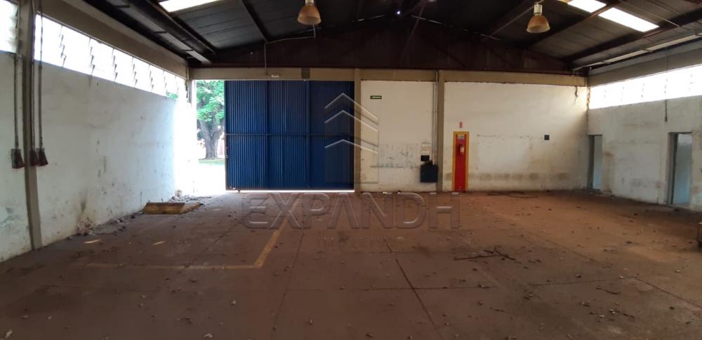 Alugar Comerciais / Barracão em Sertãozinho apenas R$ 4.935,00 - Foto 4 Alugar Comerciais / Barracão em Sertãozinho apenas R$ 4.935,00 - Foto 4