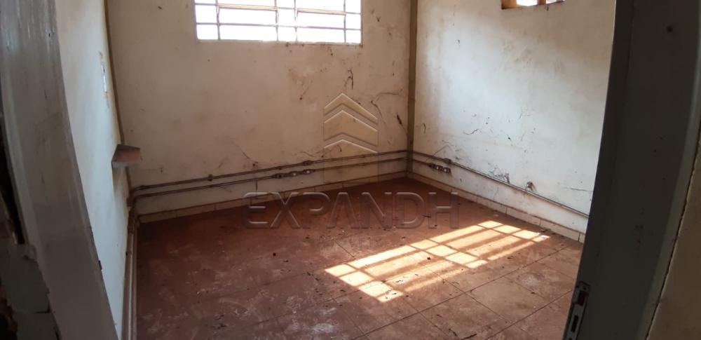 Alugar Comerciais / Barracão em Sertãozinho apenas R$ 4.935,00 - Foto 5 Alugar Comerciais / Barracão em Sertãozinho apenas R$ 4.935,00 - Foto 5