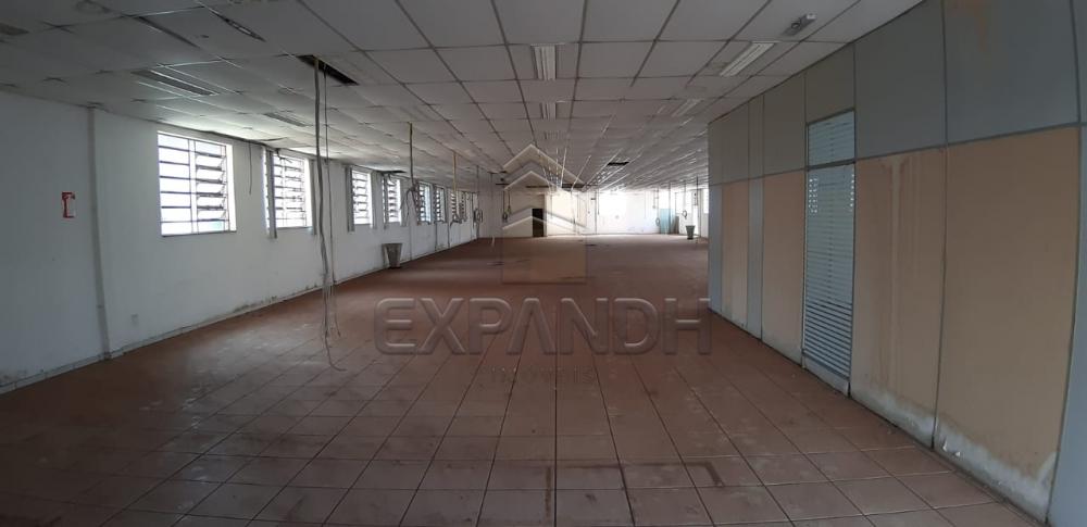 Alugar Comerciais / Barracão em Sertãozinho apenas R$ 4.725,00 - Foto 4 Alugar Comerciais / Barracão em Sertãozinho apenas R$ 4.725,00 - Foto 4