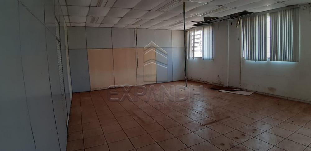 Alugar Comerciais / Barracão em Sertãozinho apenas R$ 4.725,00 - Foto 6 Alugar Comerciais / Barracão em Sertãozinho apenas R$ 4.725,00 - Foto 6