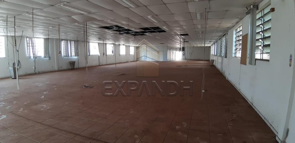 Alugar Comerciais / Barracão em Sertãozinho apenas R$ 4.725,00 - Foto 16 Alugar Comerciais / Barracão em Sertãozinho apenas R$ 4.725,00 - Foto 16