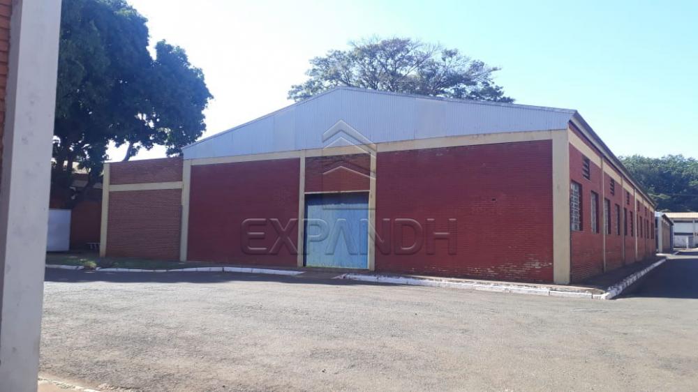 Alugar Comerciais / Barracão em Sertãozinho apenas R$ 4.725,00 - Foto 1 Alugar Comerciais / Barracão em Sertãozinho apenas R$ 4.725,00 - Foto 1