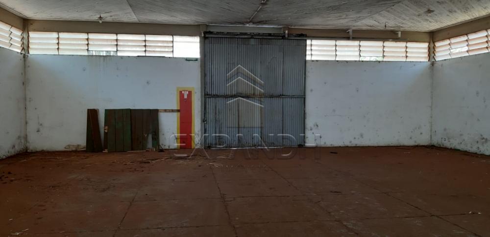 Alugar Comerciais / Barracão em Sertãozinho apenas R$ 3.150,00 - Foto 4 Alugar Comerciais / Barracão em Sertãozinho apenas R$ 3.150,00 - Foto 4