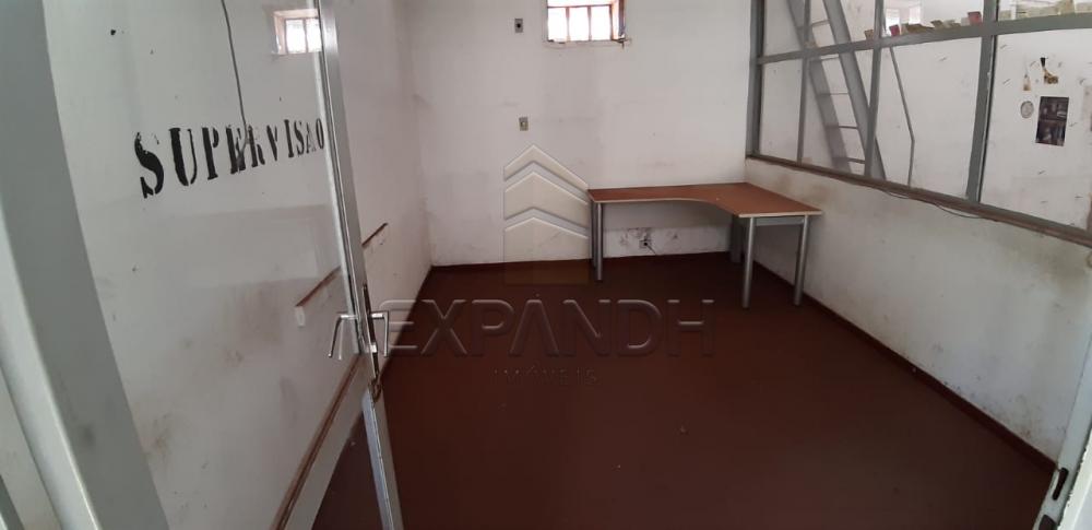 Alugar Comerciais / Barracão em Sertãozinho apenas R$ 3.150,00 - Foto 6 Alugar Comerciais / Barracão em Sertãozinho apenas R$ 3.150,00 - Foto 6