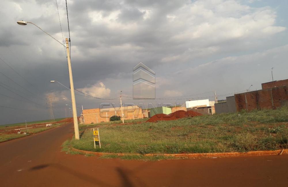 Comprar Terrenos / Padrão em Sertãozinho apenas R$ 95.000,00 - Foto 4 Comprar Terrenos / Padrão em Sertãozinho apenas R$ 95.000,00 - Foto 4