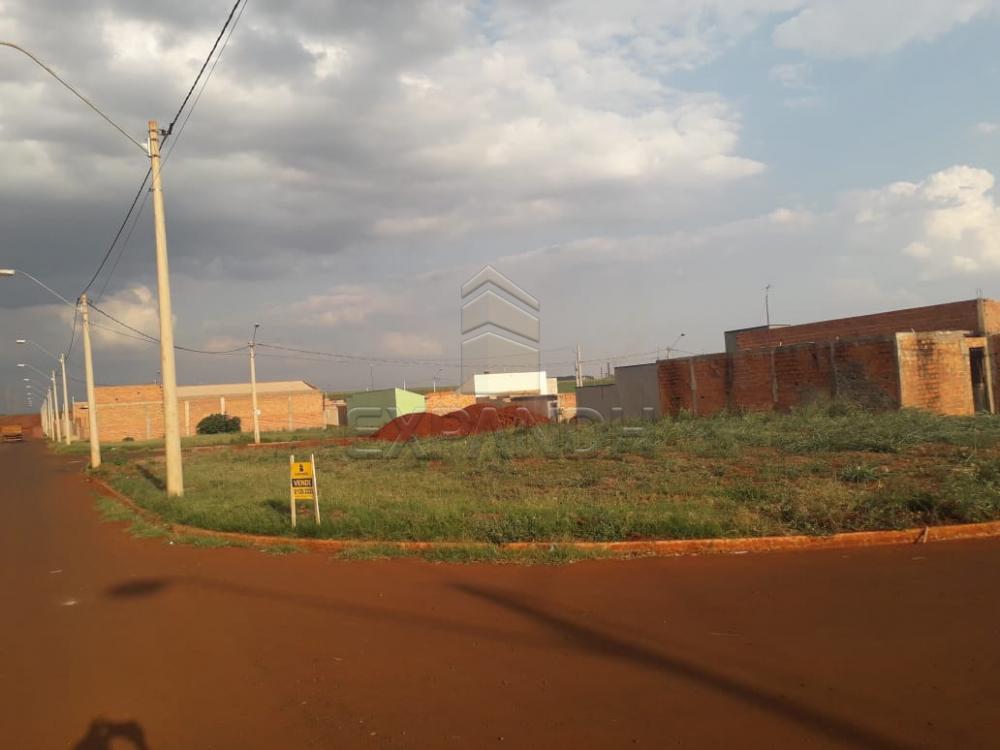 Comprar Terrenos / Padrão em Sertãozinho apenas R$ 95.000,00 - Foto 6 Comprar Terrenos / Padrão em Sertãozinho apenas R$ 95.000,00 - Foto 6