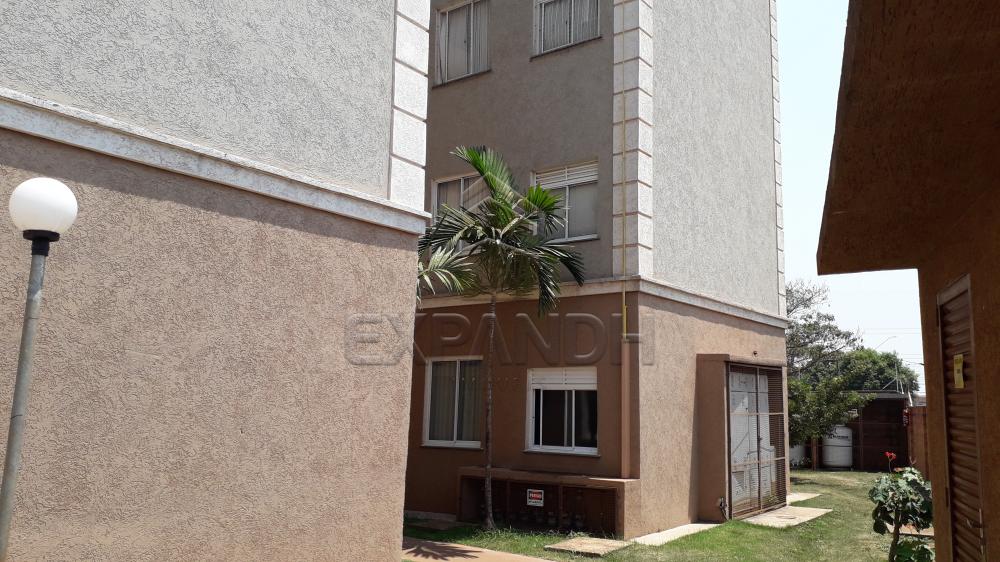 Alugar Apartamentos / Padrão em Sertãozinho R$ 750,00 - Foto 4 Alugar Apartamentos / Padrão em Sertãozinho R$ 750,00 - Foto 4