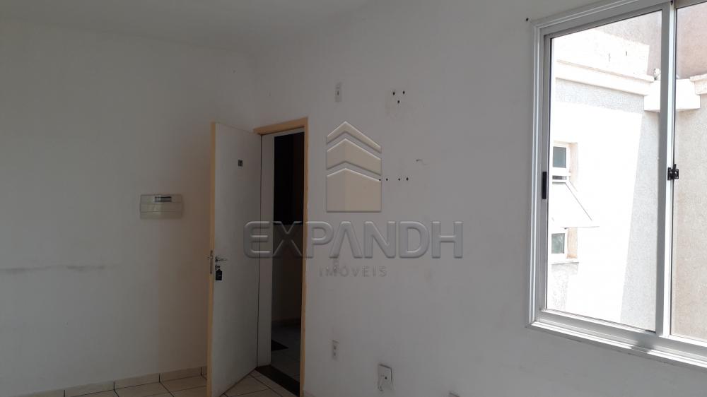 Alugar Apartamentos / Padrão em Sertãozinho R$ 750,00 - Foto 10 Alugar Apartamentos / Padrão em Sertãozinho R$ 750,00 - Foto 10
