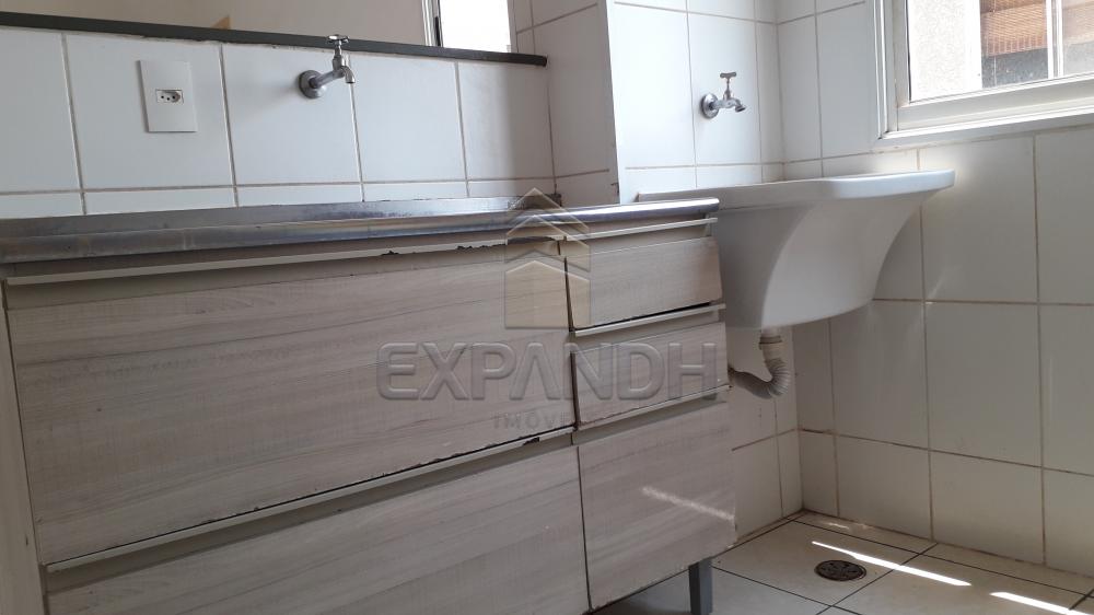 Alugar Apartamentos / Padrão em Sertãozinho R$ 750,00 - Foto 12 Alugar Apartamentos / Padrão em Sertãozinho R$ 750,00 - Foto 12