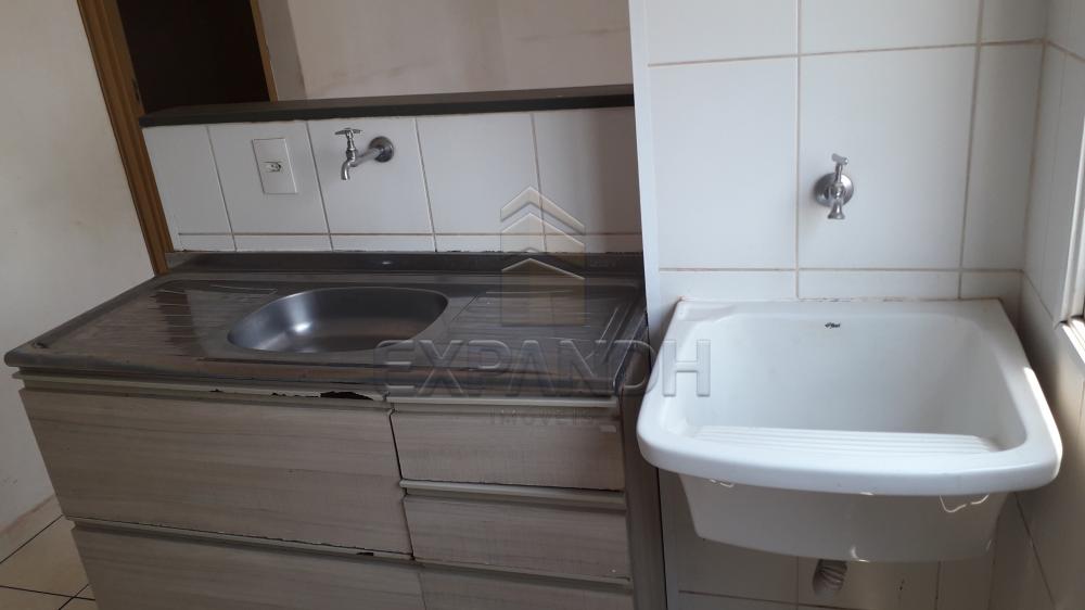 Alugar Apartamentos / Padrão em Sertãozinho R$ 750,00 - Foto 13 Alugar Apartamentos / Padrão em Sertãozinho R$ 750,00 - Foto 13