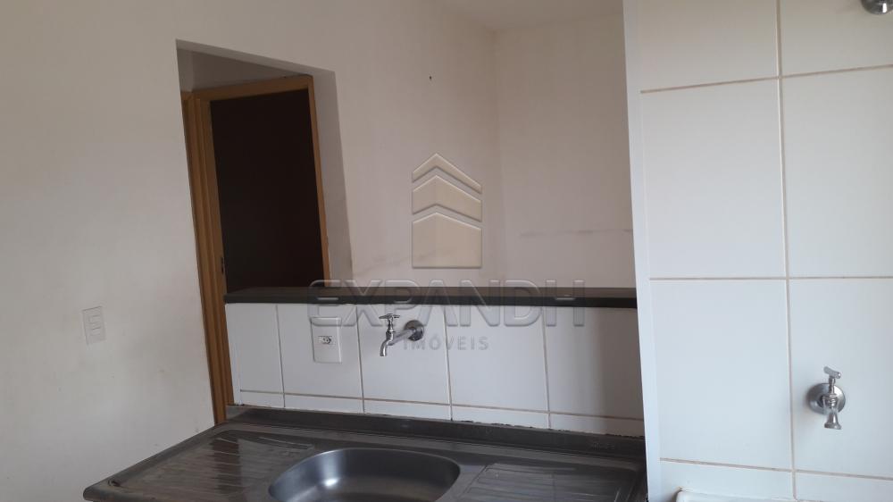 Alugar Apartamentos / Padrão em Sertãozinho R$ 750,00 - Foto 14 Alugar Apartamentos / Padrão em Sertãozinho R$ 750,00 - Foto 14