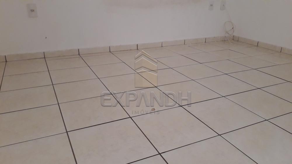 Alugar Apartamentos / Padrão em Sertãozinho R$ 750,00 - Foto 17 Alugar Apartamentos / Padrão em Sertãozinho R$ 750,00 - Foto 17