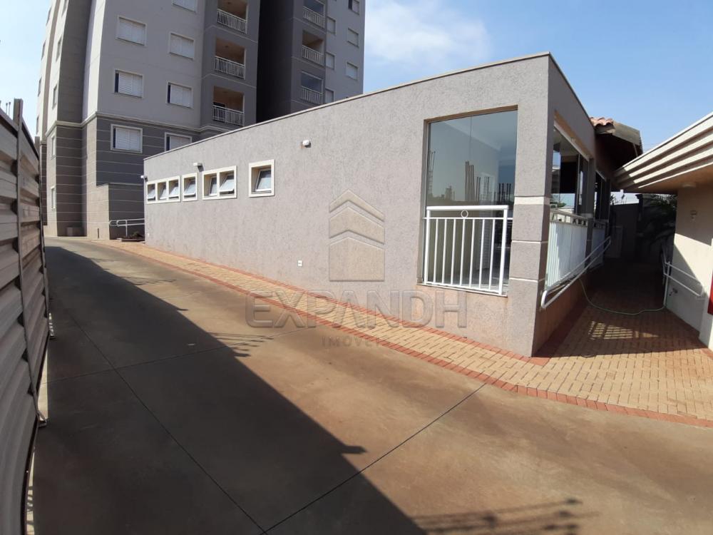 Alugar Apartamentos / Padrão em Sertãozinho apenas R$ 1.350,00 - Foto 4 Alugar Apartamentos / Padrão em Sertãozinho apenas R$ 1.350,00 - Foto 4