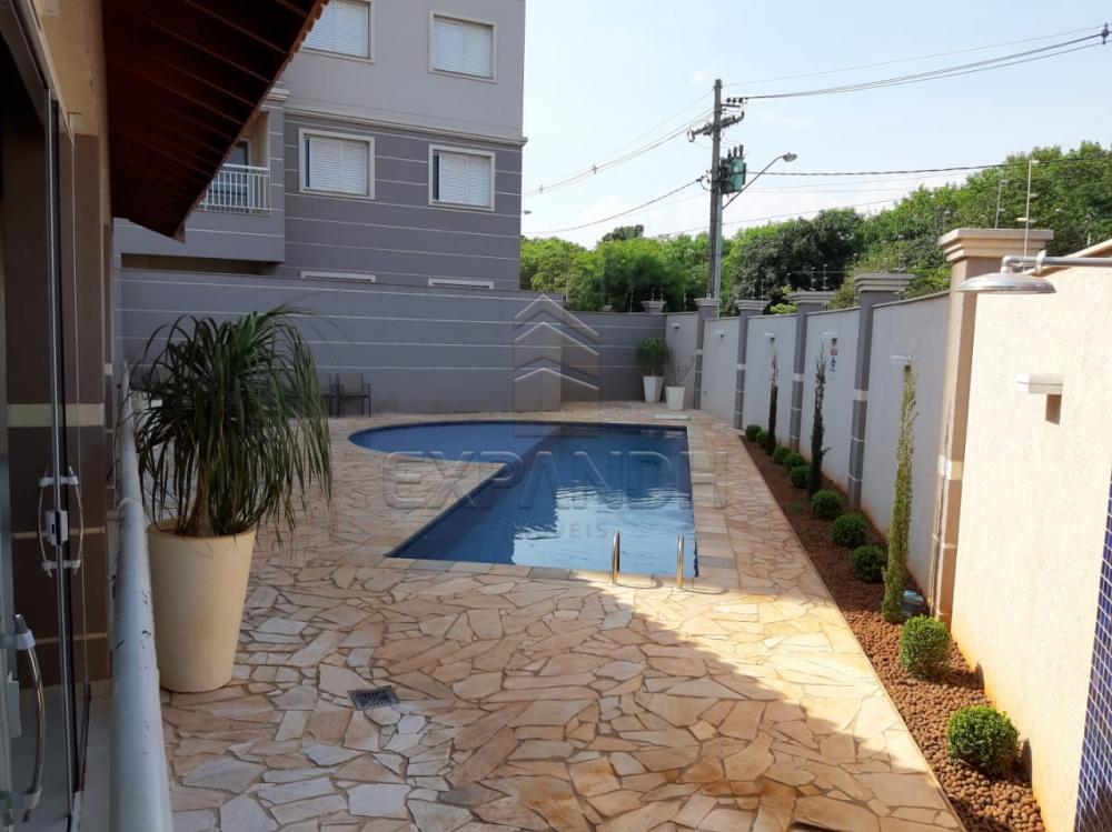 Alugar Apartamentos / Padrão em Sertãozinho apenas R$ 1.350,00 - Foto 6 Alugar Apartamentos / Padrão em Sertãozinho apenas R$ 1.350,00 - Foto 6